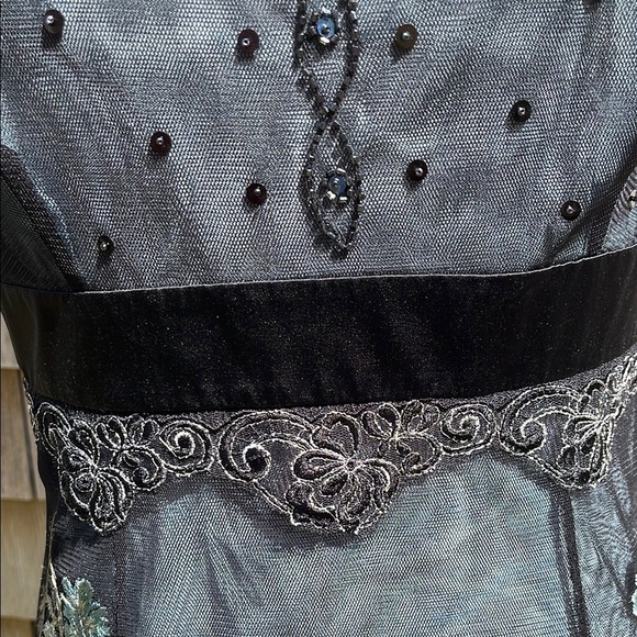 NWT Adriana Papell lace embroidered net sheer dress- gown- Size 10 - Picture 5 of 17